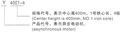 西安泰富西玛Y系列(H355-1000)高压YKK4505-2GJ三相异步电机型号说明