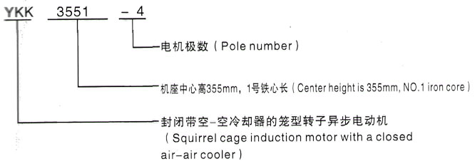 YKK系列(H355-1000)高压YKK4505-2GJ三相异步电机西安泰富西玛电机型号说明