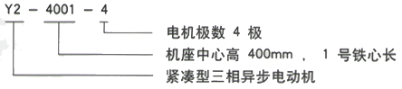 YR系列(H355-1000)高压YKK4505-2GJ三相异步电机西安西玛电机型号说明